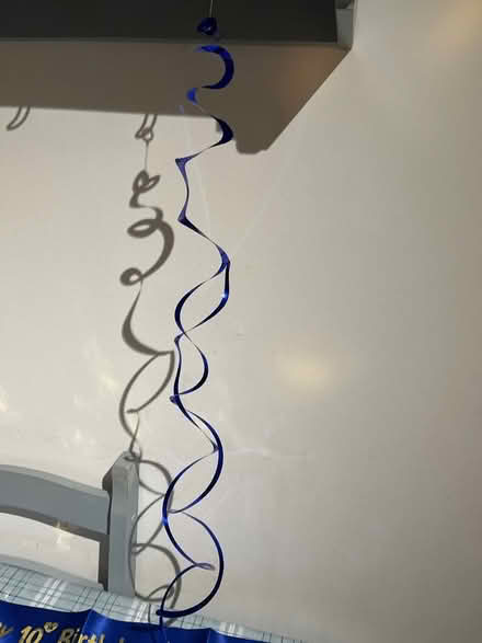 Photo of free 10th birthday decorations (Craigour EH17) #2