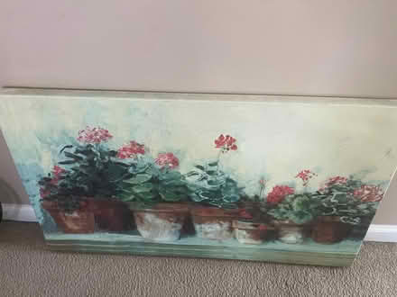 Photo of free Plant painting outdoor/indoor (Royal Oak, MI) #1