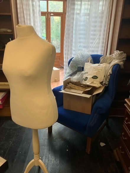 Photo of free Manakin bust (LE2 Leicester) #1