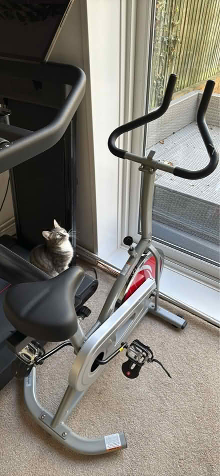 Photo of free Exercise bike (Putney) #1