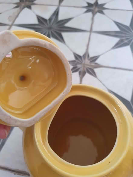 Photo of free Yellow teapot (Rotherhithe SE16) #3