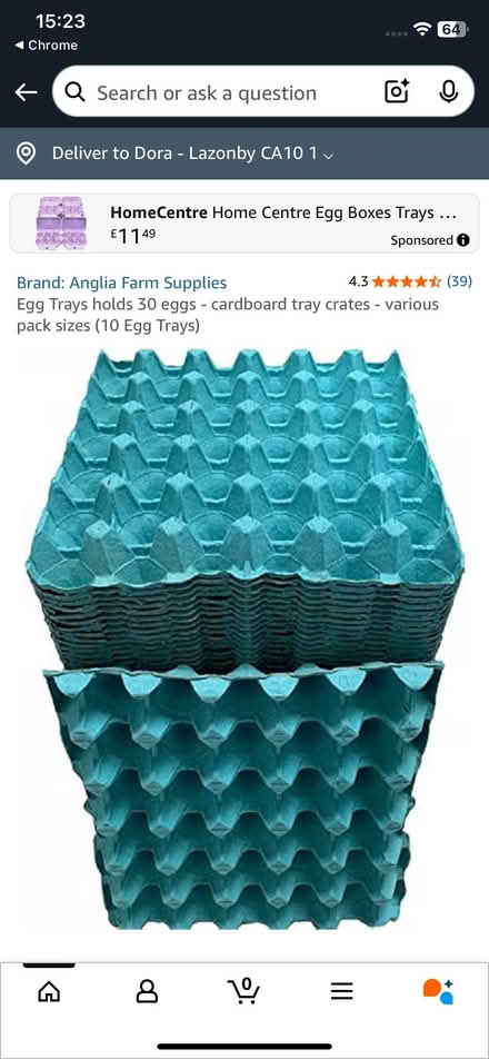Photo of Egg trays (Lazonby CA10) #1