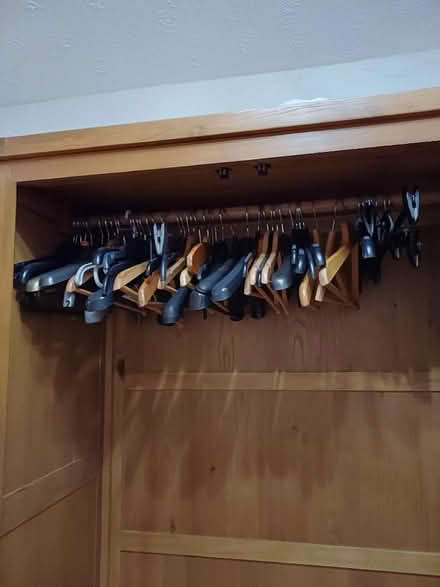 Photo of free any wooden coat hangers or plastic coat han (Marldon TQ3) #1