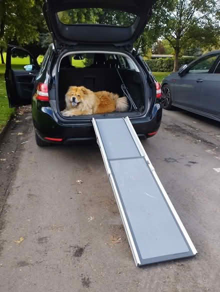 Photo of free Heavy duty dog ramp (Wolverhampton, WV10) #1