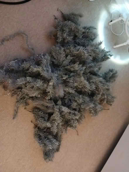 Photo of free Christmas tree branches (TN40) #1