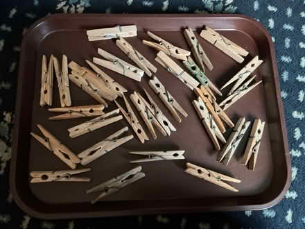 Photo of free Clothes pegs (Walkley S6) #1