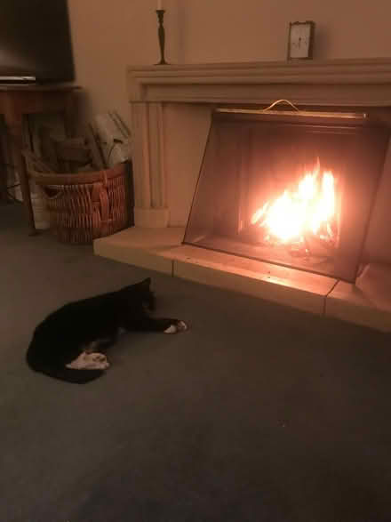 Photo of free Stone Fire Place (NR15) #3