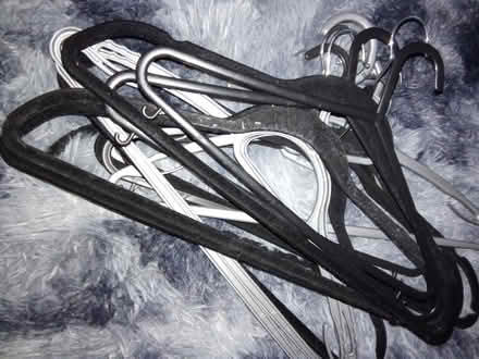 Photo of free Coat hangers (Willesborough) #1