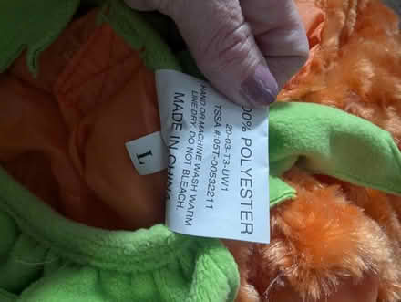 Photo of free Kids Halloween costumes (Leedom, Ridley park) #3