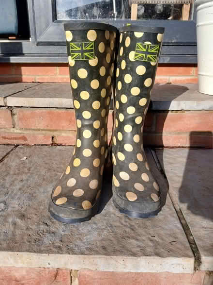Photo of free Wellies size 8 (South Norwood SE25) #1