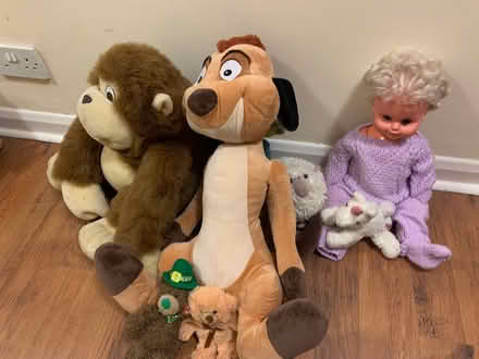 Photo of free Monkey possum and friends (Harrietsham ME17) #1