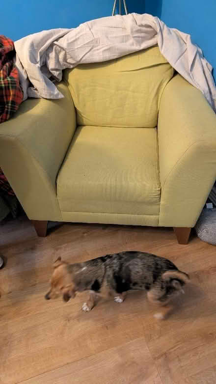 Photo of free Chair (Cambusbarron FK7) #2