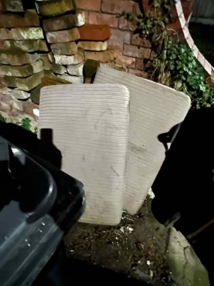 Photo of free Large Sofa Cushions x 2 (Bootle) #1