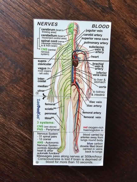Photo of free Medical cube (Lower Morden SM3) #1