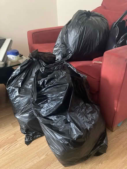 Photo of free Clothes & shoes 6-8 yr old girls & UK 14 female (Silvertown E16) #2