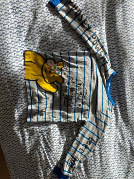 Photo of free Pudsey long sleeve top 4-5yrs (Waterlooville PO7) #1