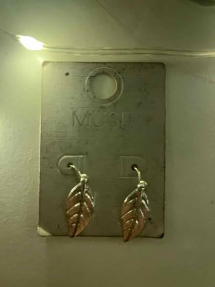 Photo of free Unworn earrings (Grangetown CF11) #1