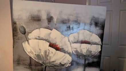 Photo of free Canvas picture (Cambusbarron FK7) #2