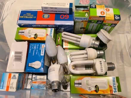 Photo of free Large quantity of light bulbs (The Camp AL1) #1