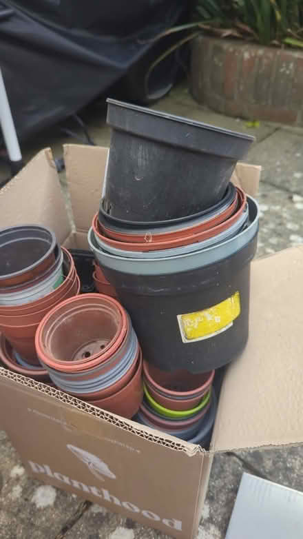Photo of free Pots various sizes (Rottingdean BN2) #2
