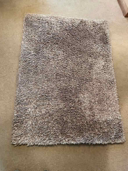 Photo of free Snuggly Shag rug (Bury) #1