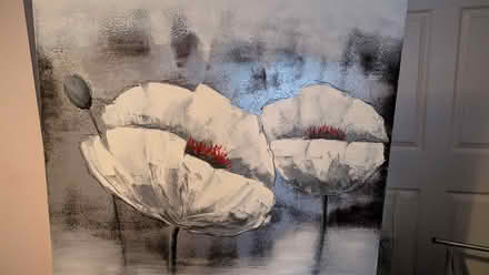 Photo of free Canvas picture (Cambusbarron FK7) #1