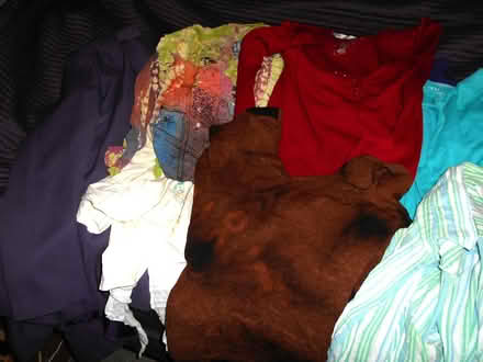 Photo of free Clothes (Parson Cross S5) #3