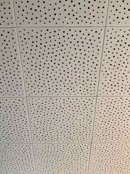 Photo of 1’ sq ceiling tiles (Winsted) #1