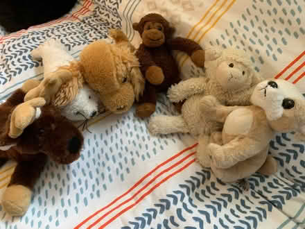 Photo of free Stuffies (St. Clair & Victoria Park) #1