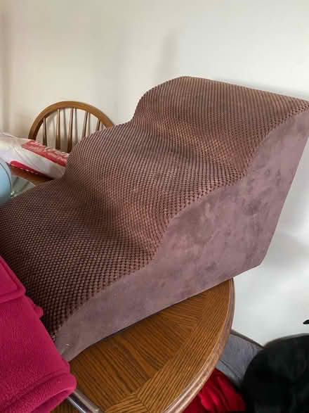 Photo of free Doggy steps (Belper DE56) #1