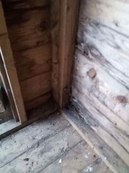 Photo of free Wooden garden shed (Marsh Farm LU3) #2