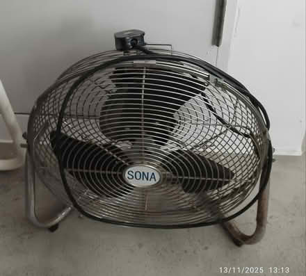 Photo of free Sona fan (Tpy) #1