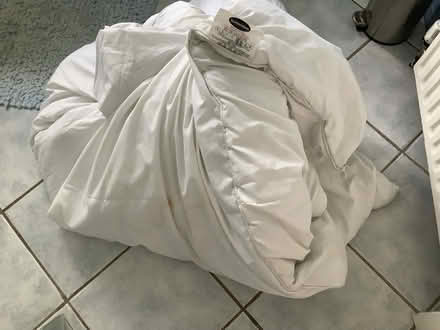 Photo of free 15 tog double quilt (Bromley BR2) #1