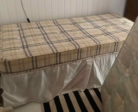 Photo of free Single Bed - stacking beds (Seven Dials BN1) #2