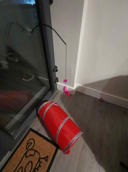 Photo of free Cat toys (Dublin 18) #1