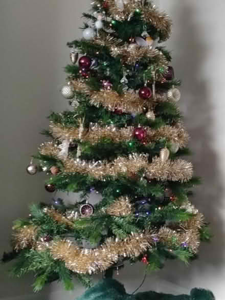 Photo of free 6ft Berry and Cone Christmas Tree (Skerton LA1) #3