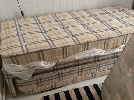 Photo of free Single Bed - stacking beds (Seven Dials BN1) #1