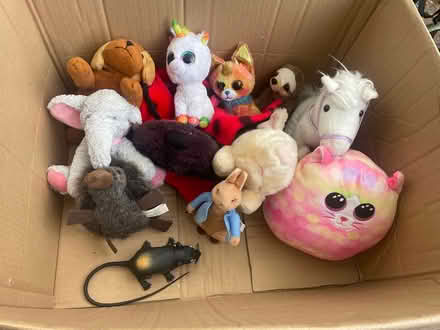 Photo of free Lovely teddy selection (Harrietsham ME17) #2