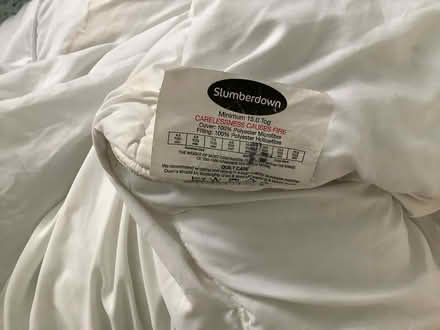 Photo of free 15 tog double quilt (Bromley BR2) #2