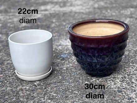 Photo of free 2 Plant pots (Drummoyne) #1