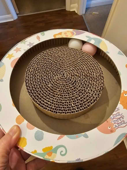 Photo of free Cat scratcher toy (Lochend EH7) #1