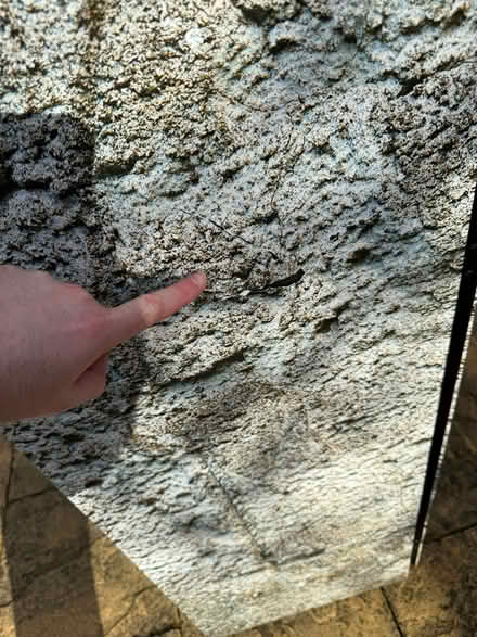 Photo of free Room divider. Around 5.5 feet high / 7 feet long (Acton W3) #2