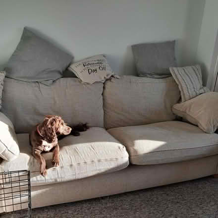 Photo of free Sofa (Humphrey's End GL5) #1