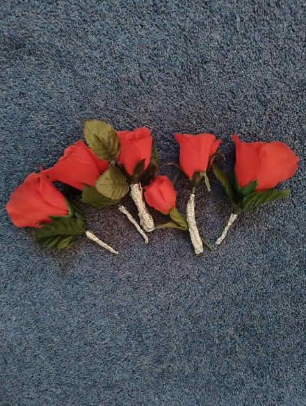 Photo of free Decorations (Cheadle Hulme SK8) #2