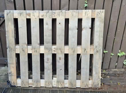 Photo of free Pallet (Mosborough S20) #1
