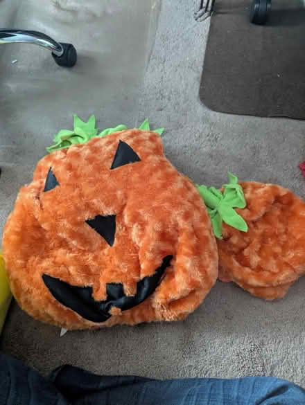 Photo of free Kids Halloween costumes (Leedom, Ridley park) #4