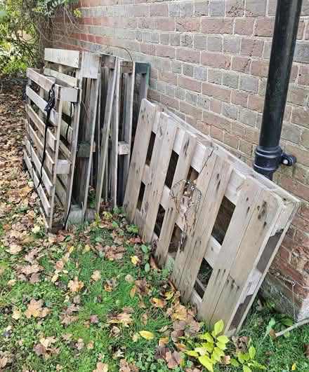 Photo of free 6 Pallets (RH13) #1