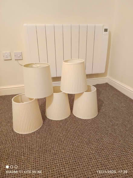 Photo of free Lightshades (Aigburth L19) #1