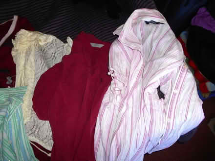 Photo of free Clothes (Parson Cross S5) #1