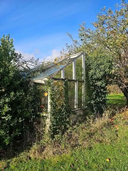 Photo of free Glass Greenhouse (Swindon, SN6) #4